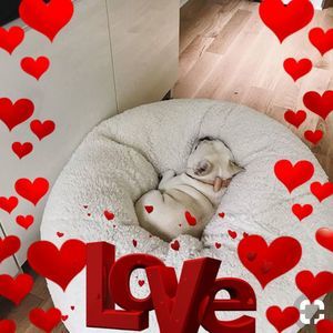 Meet your Posher, Loida